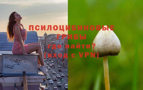 стафф Алексин