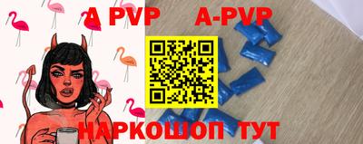 стафф Краснознаменск