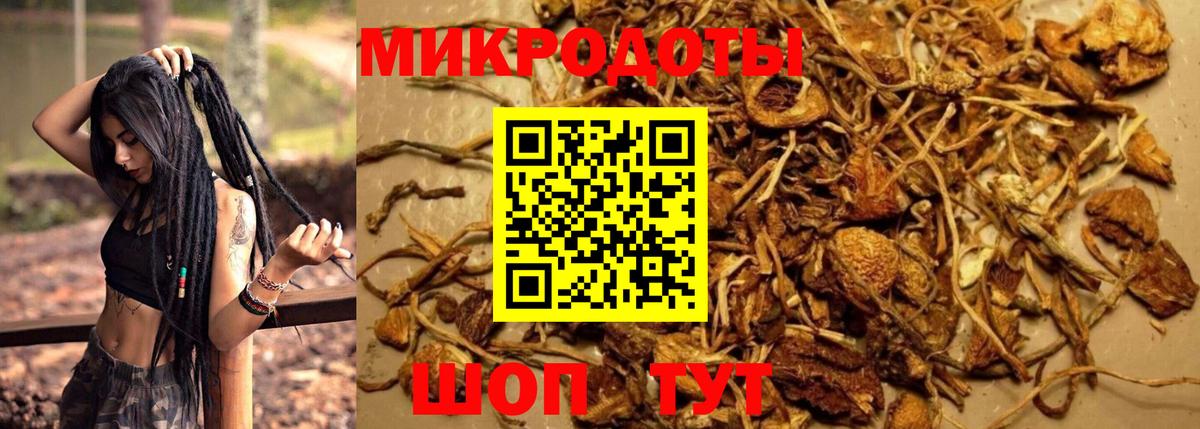 Галлюциногенные грибы мухоморы Клинцы