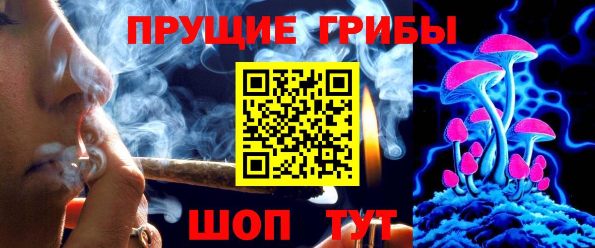 Клинцы  продажа наркотиков  Вход с VPN  Галлюциногенные грибы прущие грибы 