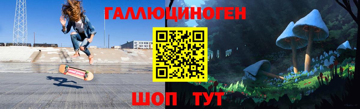 Диски  Вход с VPN  Клинцы  Гарик  Хэш  Бошки Шишки  МЕФ 